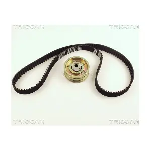 8647 29013 TRISCAN