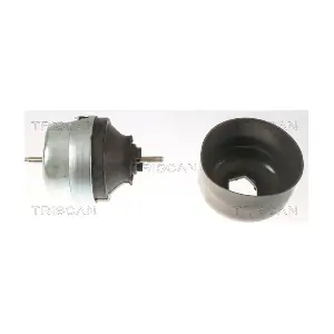 8505 29177 TRISCAN