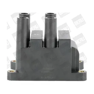 ZS556 BorgWarner (BERU)