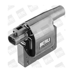 ZS277 BorgWarner (BERU)