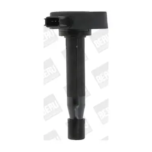 ZSE166 BorgWarner (BERU)