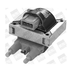 ZS318 BorgWarner (BERU)