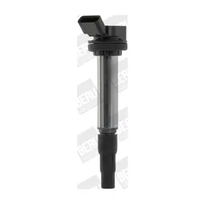 ZSE184 BorgWarner (BERU)