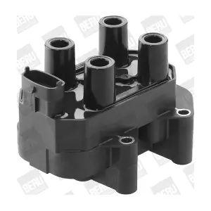 ZS 450 BorgWarner (BERU)