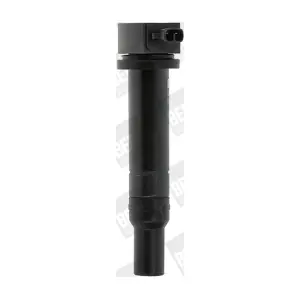 ZS481 BorgWarner (BERU)