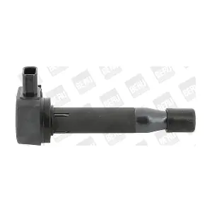 ZSE183 BorgWarner (BERU)