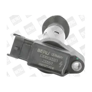 ZS557 BorgWarner (BERU)