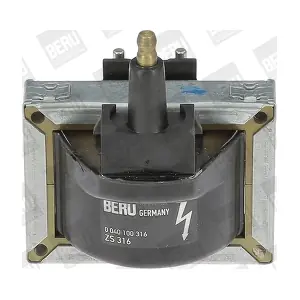 ZS316 BorgWarner (BERU)