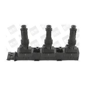 ZS359 BorgWarner (BERU)