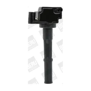 ZS473 BorgWarner (BERU)