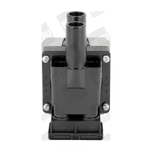 ZS313 BorgWarner (BERU)
