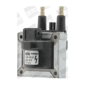 ZS317 BorgWarner (BERU)