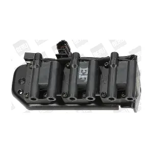 ZS 269 BorgWarner (BERU)