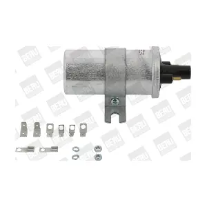 ZS569 BorgWarner (BERU)