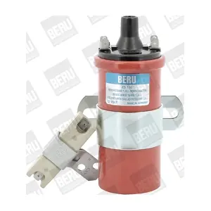 ZS110 BorgWarner (BERU)