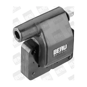 ZS282 BorgWarner (BERU)