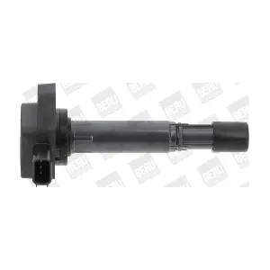 ZSE170 BorgWarner (BERU)