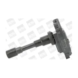 ZSE181 BorgWarner (BERU)