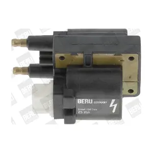 ZS246 BorgWarner (BERU)