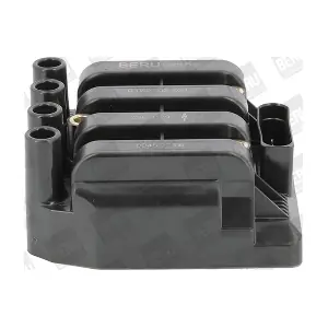 ZSE029 BorgWarner (BERU)
