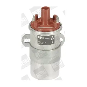 ZS118 BorgWarner (BERU)