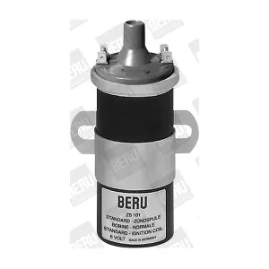 ZS101 BorgWarner (BERU)