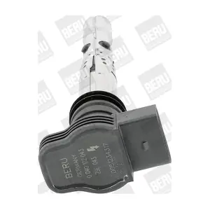 ZSE043 BorgWarner (BERU)