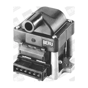 ZSE002 BorgWarner (BERU)