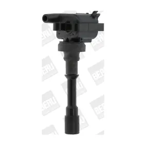 ZSE178 BorgWarner (BERU)