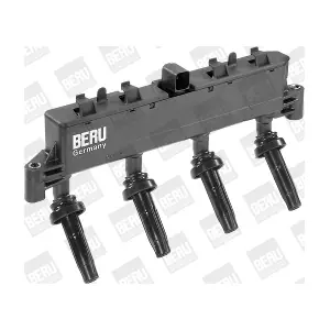 ZSE048 BorgWarner (BERU)