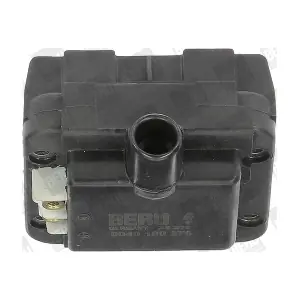 ZS276 BorgWarner (BERU)