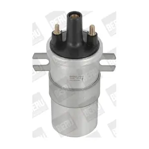 ZS565 BorgWarner (BERU)