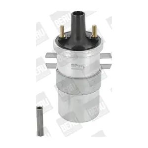 ZS546 BorgWarner (BERU)