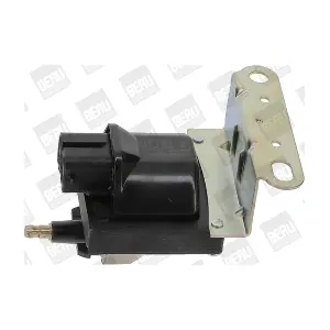 ZS554 BorgWarner (BERU)