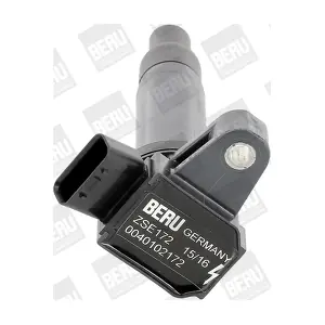 ZSE172 BorgWarner (BERU)