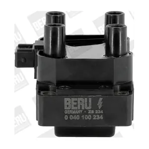 ZS234 BorgWarner (BERU)