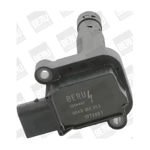 ZS053 BorgWarner (BERU)