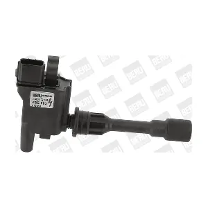 ZSE083 BorgWarner (BERU)