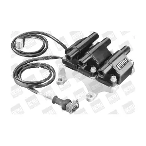 ZSE008 BorgWarner (BERU)