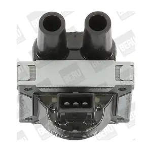 ZS327 BorgWarner (BERU)