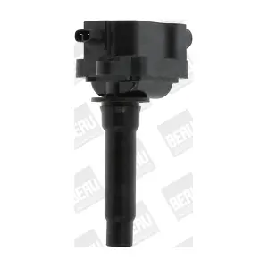 ZS434 BorgWarner (BERU)