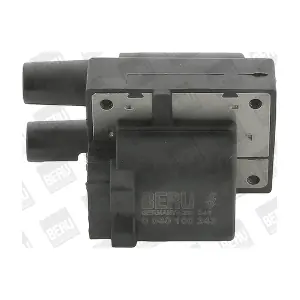 ZS243 BorgWarner (BERU)
