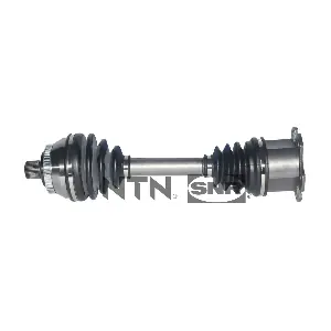 DK54.001 SNR