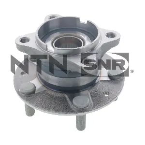 R17061 SNR