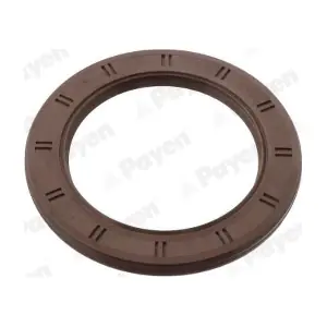 NA5088 PAYEN