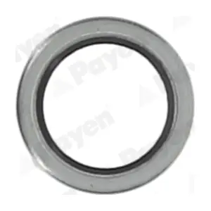 KG5011 PAYEN