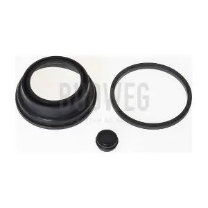 204818 BUDWEG CALIPER