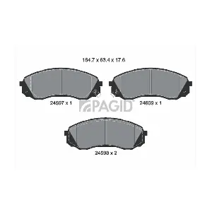 T1724 PAGID