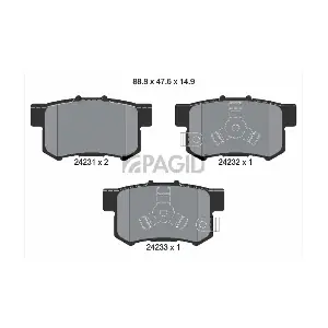 T1521N PAGID