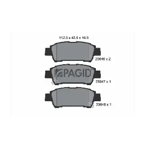 T1343 PAGID